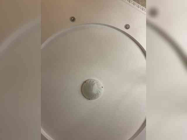 Vikusha Live Webcam on BongaCams