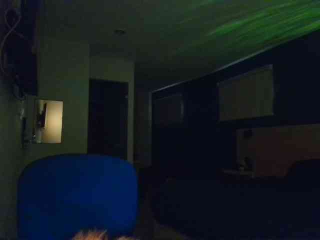 SinFetish Live Webcam on BongaCams