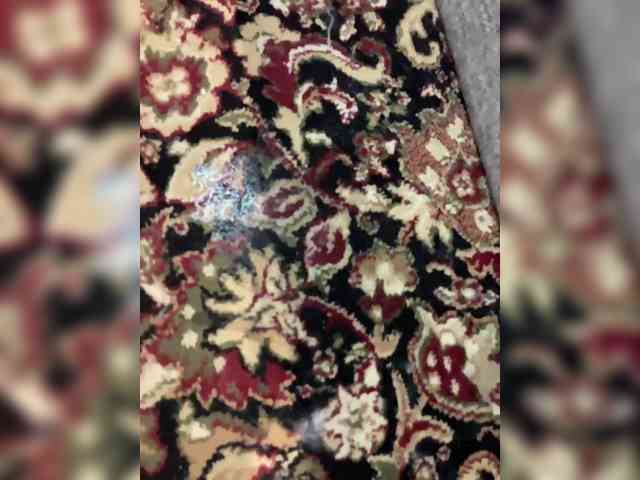 Queen-of-squirt webcam