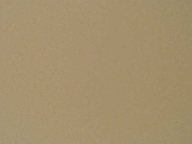 Noumia's BongaCams show and profile