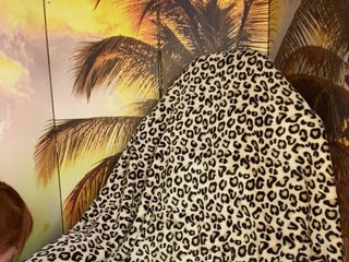 Miss-Tits2025 Porn Show