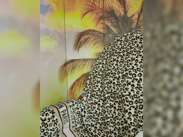 Miss-Tits2025's BongaCams show and profile