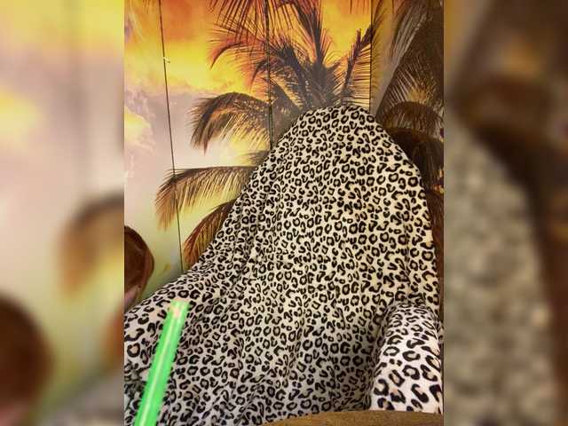 Miss-Tits2025's BongaCams show and profile