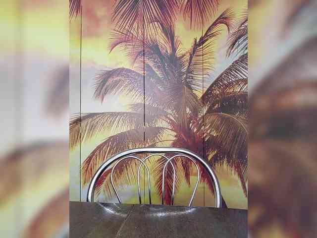 Miss-Tits2025 webcam