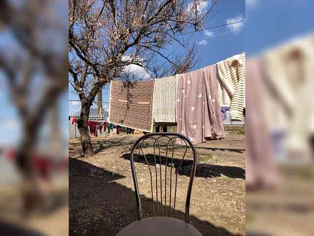 Miss-Tits2025 webcam