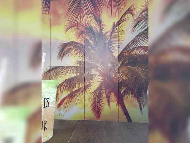 Miss-Tits2025 webcam