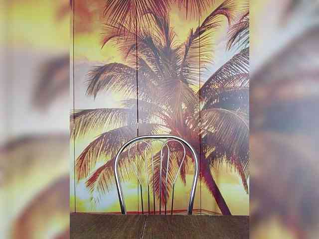 Miss-Tits2025 webcam