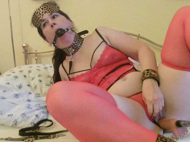 AmanelWhite webcam bongacams model stream image