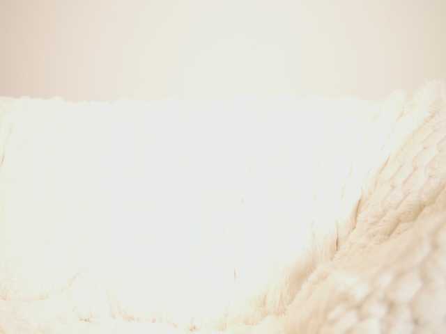 GiaInked's BongaCams show and profile