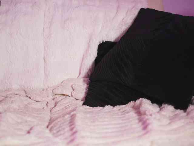 GiaInked Live Webcam on BongaCams