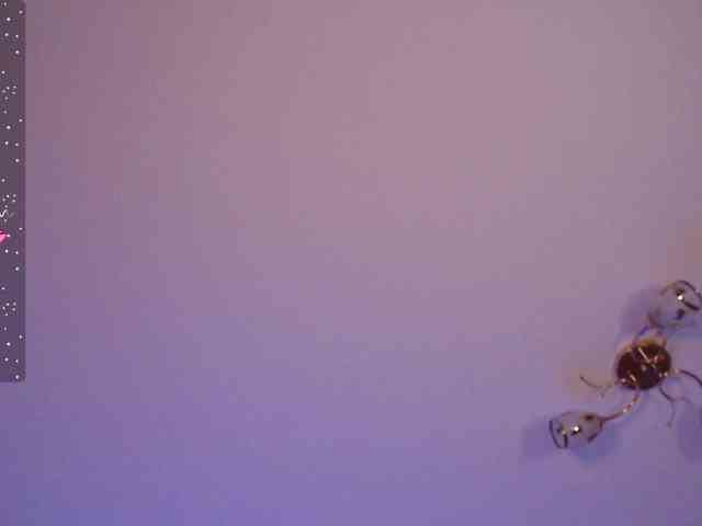 EternalLilith webcam