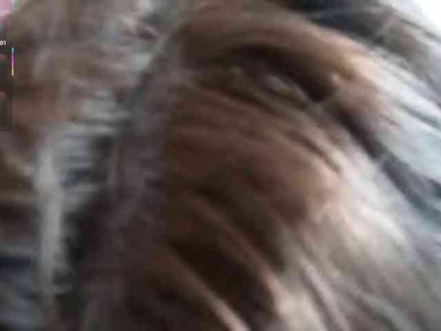 AnnabellKowalkowski webcam