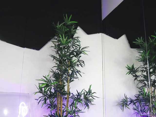 NattyMoonx's BongaCams show and profile