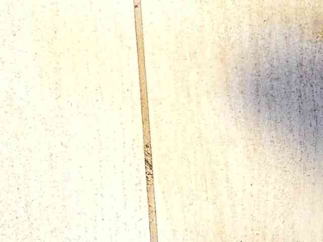 JakeAndNicole JakeAndNicole