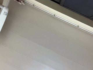 WildBeetle Porn Show