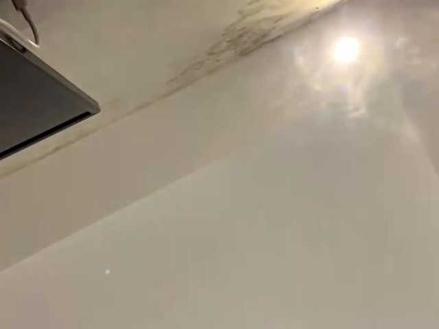 WildBeetle's Thumb Image