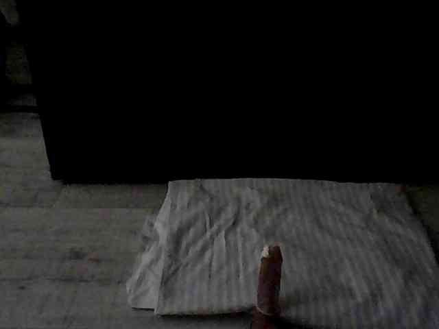 Sissyhot Live Webcam on BongaCams