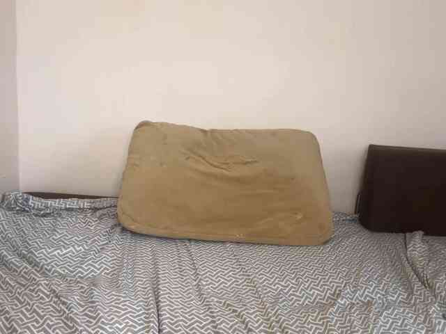 RobbieBrunjes webcam