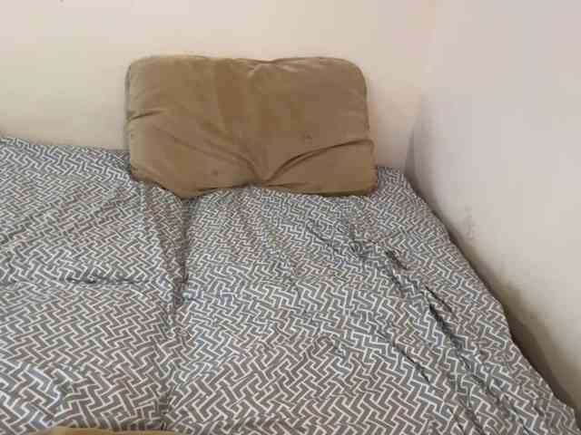 RobbieBrunjes webcam