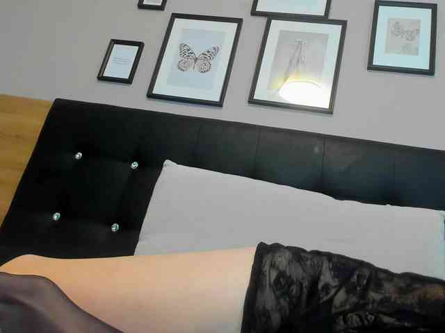 royalvixen royalvixen