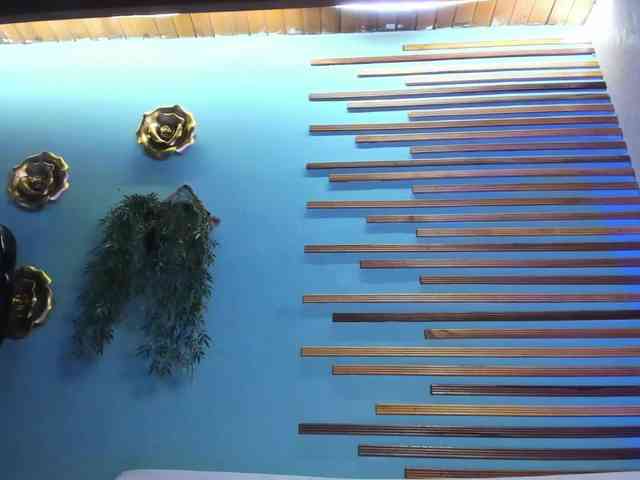 kane-del-toro kane-del-toro