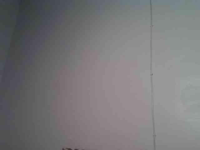 Sexykitten1 Sexykitten1