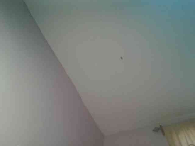 adult chat room Sexykitten1