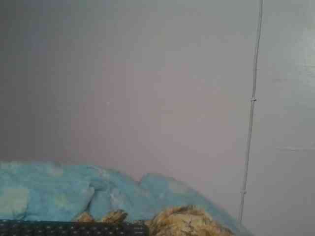 Sexykitten1 Sexykitten1