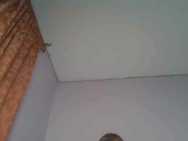 Sexykitten1 Sexykitten1