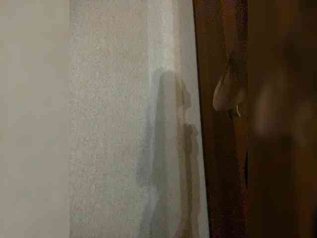 Snezhana-5402 webcam