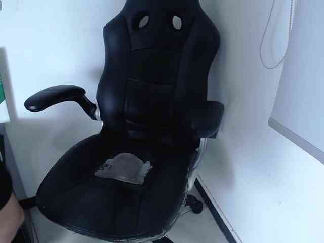 Franklinn-23 Franklinn-23