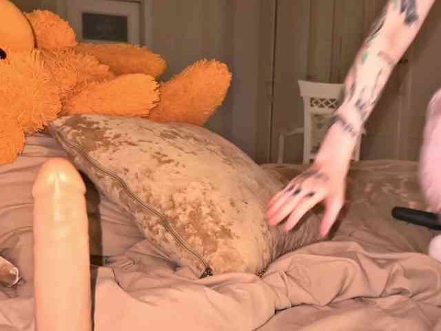 bunnydollstella webcam