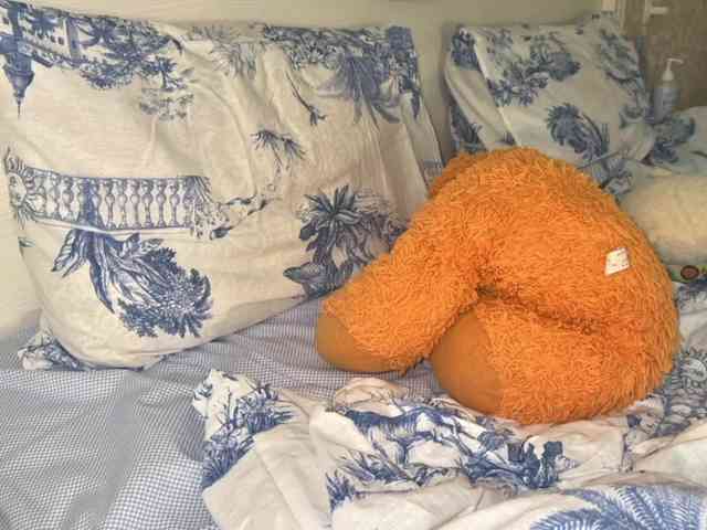 bunnydollstella webcam