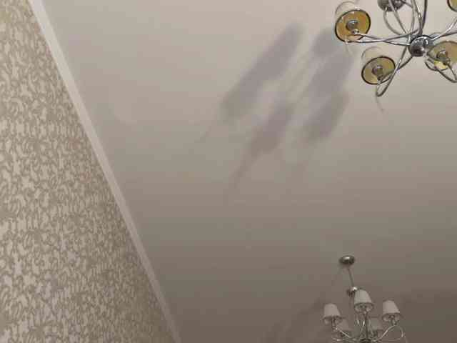 bunnydollstella webcam