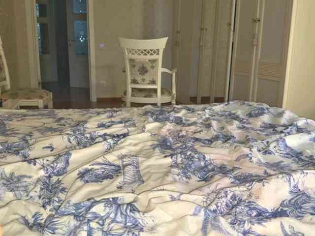 bunnydollstella webcam