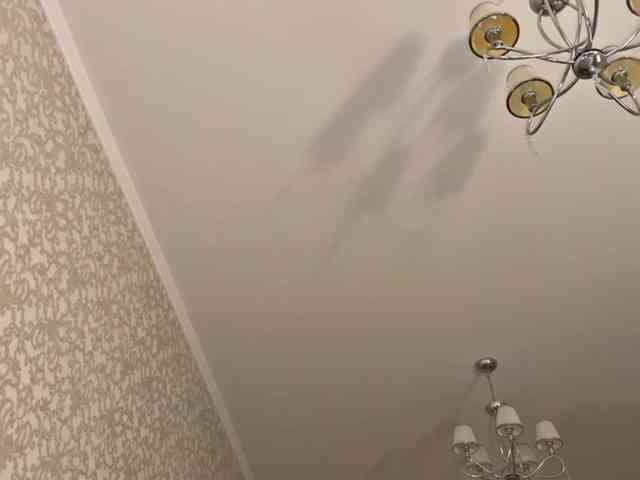 bunnydollstella webcam