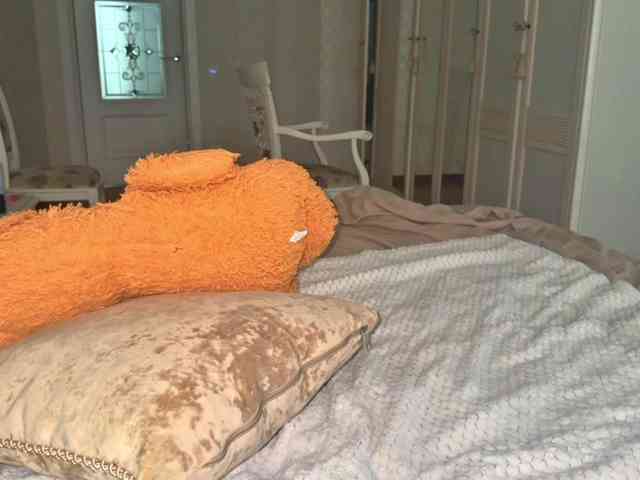 bunnydollstella Live Webcam on BongaCams