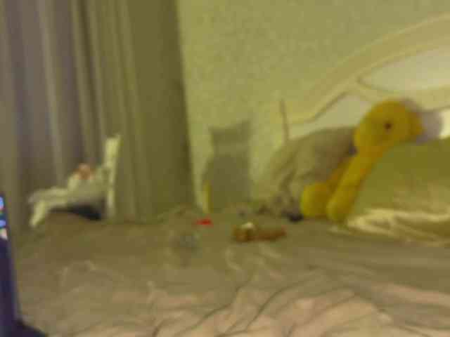 bunnydollstella webcam