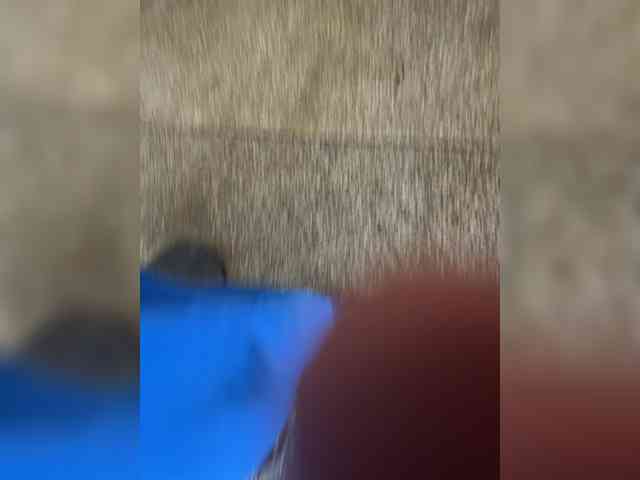 ChieftainMan ChieftainMan