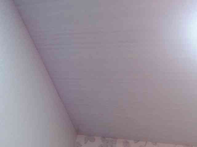 selenabustamante selenabustamante