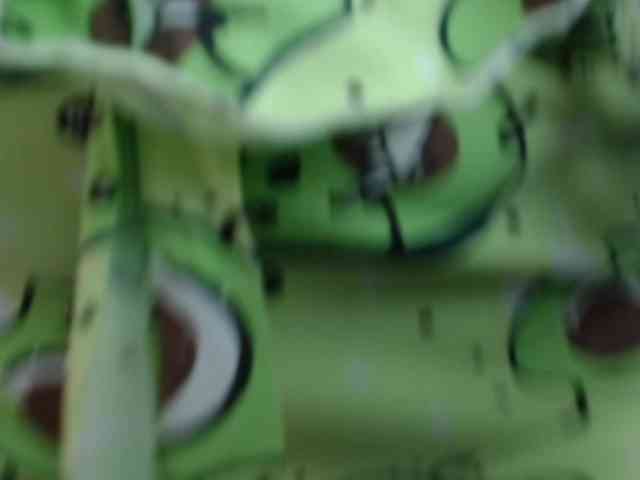 selenabustamante webcam