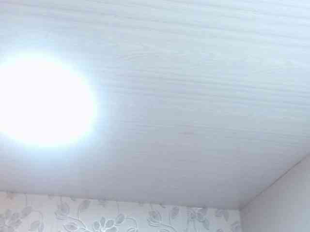 selenabustamante webcam