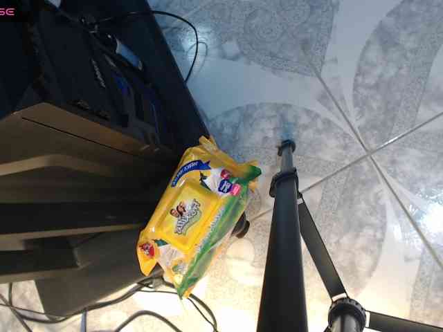 Anggie-Miller webcam