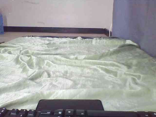 Cteamypitches webcam