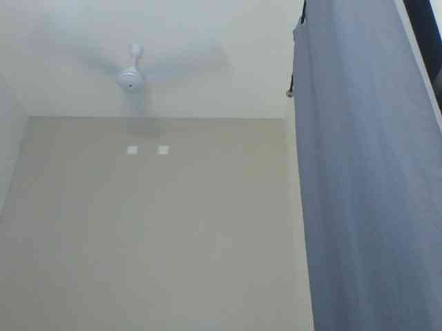 Cteamypitches webcam