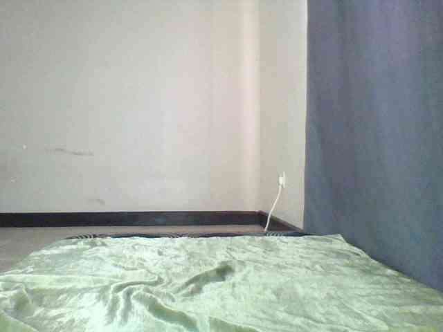 Cteamypitches webcam