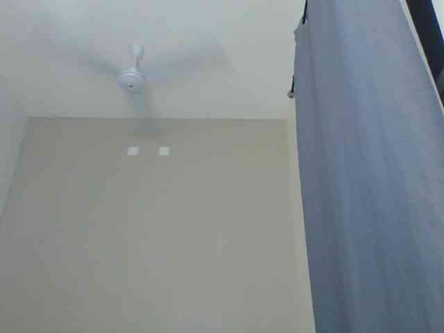 Cteamypitches webcam