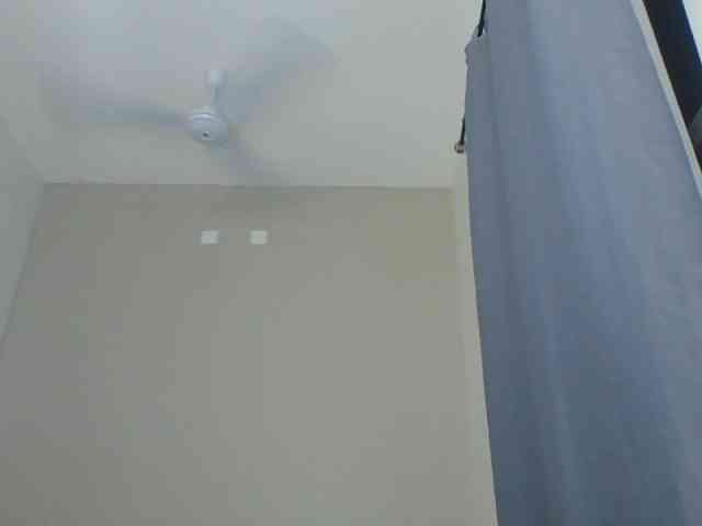 Cteamypitches webcam