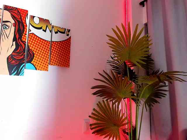 OdinVide-1 OdinVide-1