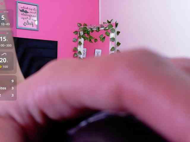 Kinkyhousetour webcam